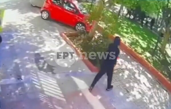 ΠΕΡΙΣΤΕΡΙ ΣΥΜΠΛΟΚΗ ΒΙΝΤΕΟ
