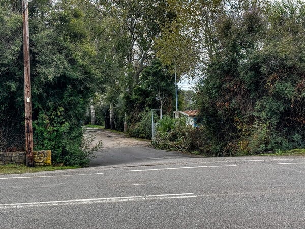 ΦΟΙΝΙΚΟΥΝΤΑ ΔΟΛΟΦΟΝΙΑ ΚΑΜΠΙΝΓΚ