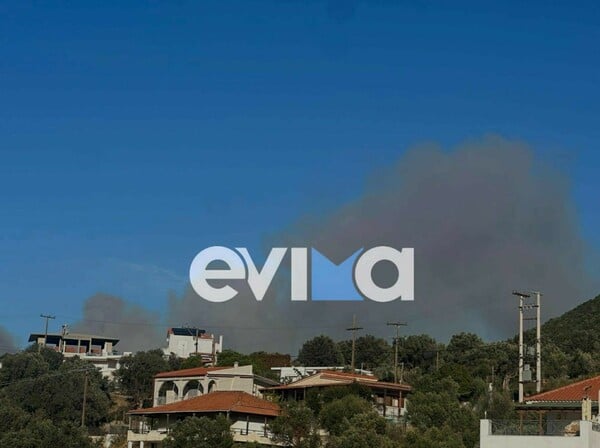 Φωτιά τώρα στην Εύβοια: Κοντά σε σπίτια οι φλόγες 