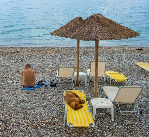 Στη μνήμη του Χρήστου Μπάνου