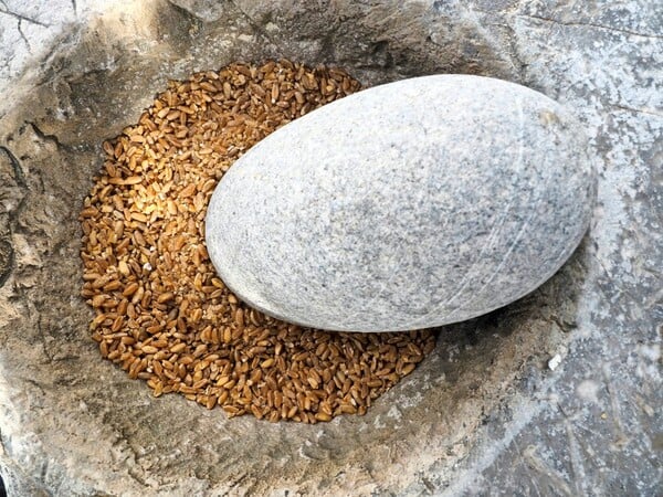 ΕΠΕΞ Οι χοχλιοί ξυπνούν μέσα μας τον σύγχρονο τροφοσυλλέκτη