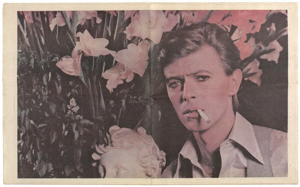 David Bowie