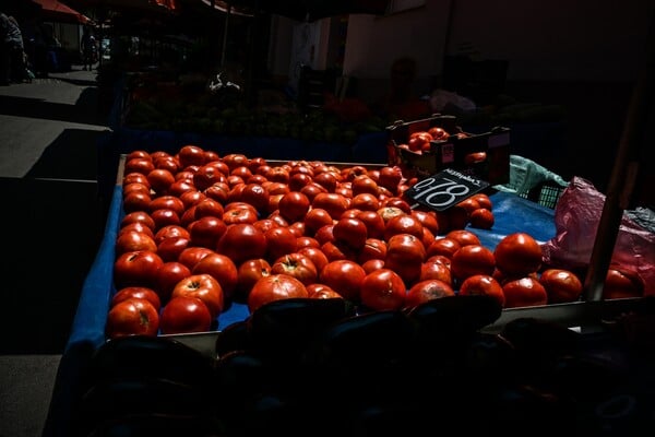 ΛΑΙΚΗ ΑΓΟΡΑ ΤΡΟΦΙΜΑ