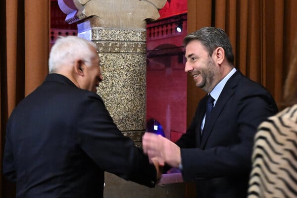 Νίκος Ανδρουλάκης: «Δεν νοείται συμμετοχή της Τουρκίας στο SAFE»