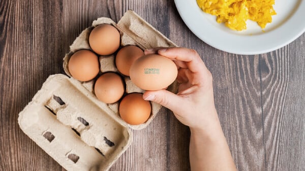 Safe2Eat: Μάθε τι τρως, ζήσε με υγεία και ασφάλεια