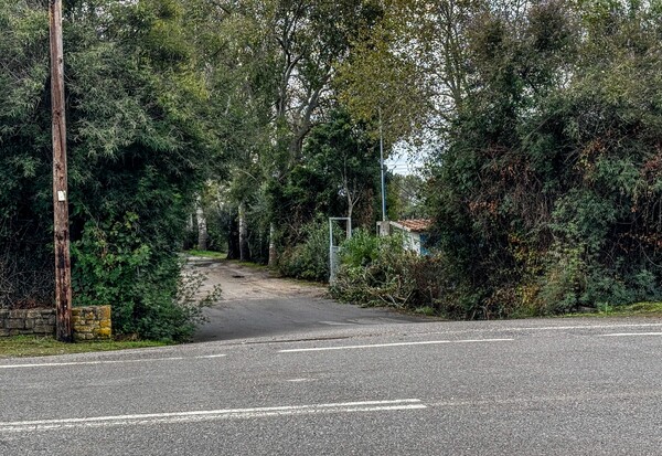 ΦΟΙΝΙΚΟΥΝΤΑ ΔΟΛΟΦΟΝΙΑ ΠΡΟΦΥΛΑΚΙΣΤΗΚΑΝ