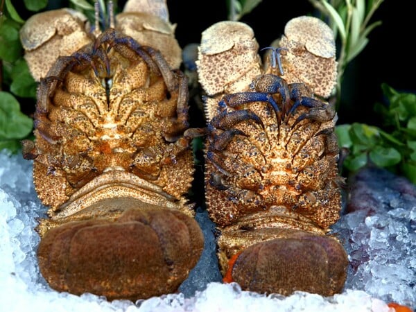 Η αυθεντική καραβιδομακαρονάδα είναι ανώτερη από την αστακομακαρονάδα