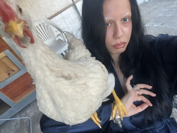 Πώς είναι να είσαι «ερωτευμένη» με έναν κόκορα;