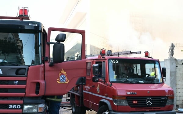 Ανάφη: Νεκρή 56χρονη και ο σκύλος της μετά από φωτιά στην περιοχή Κάστρο