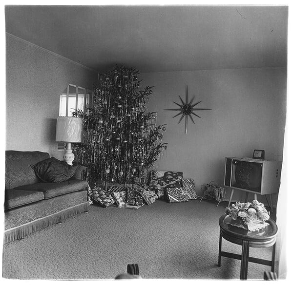 Στον Αστερισμό της Νταϊάν Άρμπους