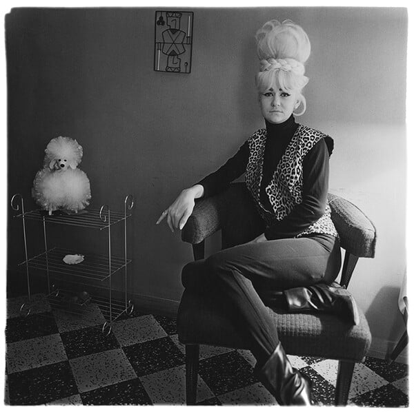 Στον Αστερισμό της Νταϊάν Άρμπους