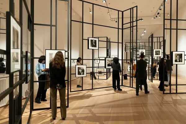 Στον Αστερισμό της Νταϊάν Άρμπους