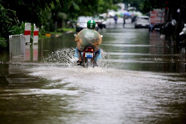 ΜΕΛΙΣΣΑ ΚΥΚΛΩΝΑΣ ΚΑΡΑΙΒΙΚΗ ΤΖΑΜΑΙΚΑ