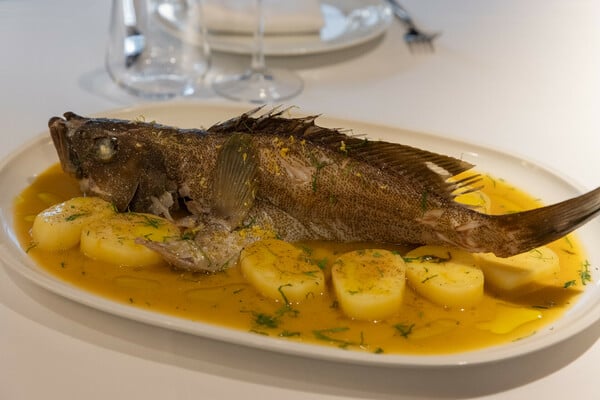 Όχι άλλη σφυρίδα! 