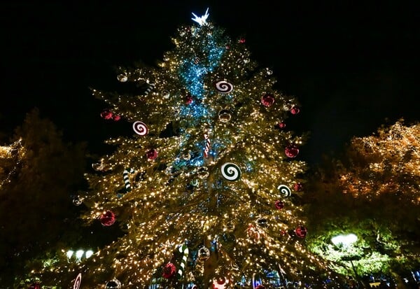 ΧΡΙΣΤΟΥΓΕΝΝΙΑΤΙΚΟ ΔΕΝΤΡΟ ΧΡΙΣΤΟΥΓΕΝΝΑ