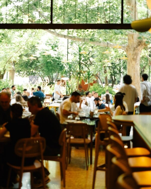 Όχι άλλη σφυρίδα!