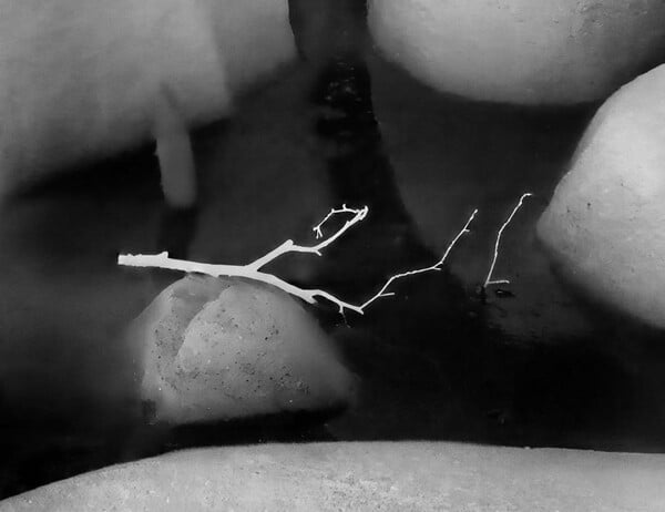 Η κλιματική κρίση μέσα από τον φακό θερμικής κάμερας του National Geographic