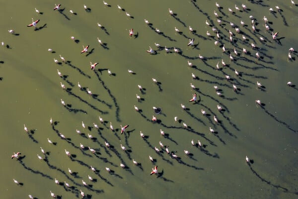 Λειψυδρία: ο οδικός χάρτης για την υδατική ασφάλεια της Αττικής