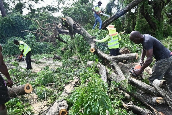 Τζαμάικα: Οι κάτοικοι ψάχνουν τροφή στους δρόμους – Η απελπισία κυριαρχεί μετά τον τυφώνα Μελίσα