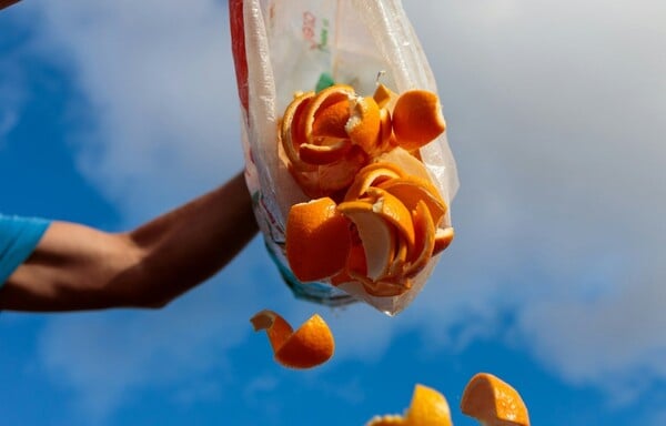 ΣΠΑΤΑΛΗ ΤΡΟΦΙΜΩΝ ΣΕΦ ΜΥΣΤΙΚΑ