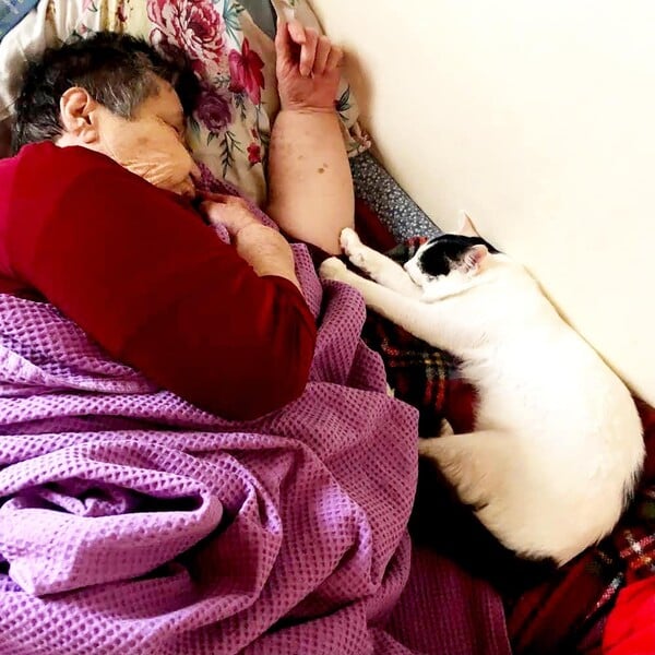 *Να γυρνάς προς το αληθινό αφού έχεις καεί από το ωραίο/ από τον Πάνο Μιχαήλ