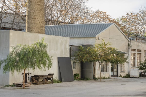 Αυτοοργάνωση, πολυμορφία και δημιουργία