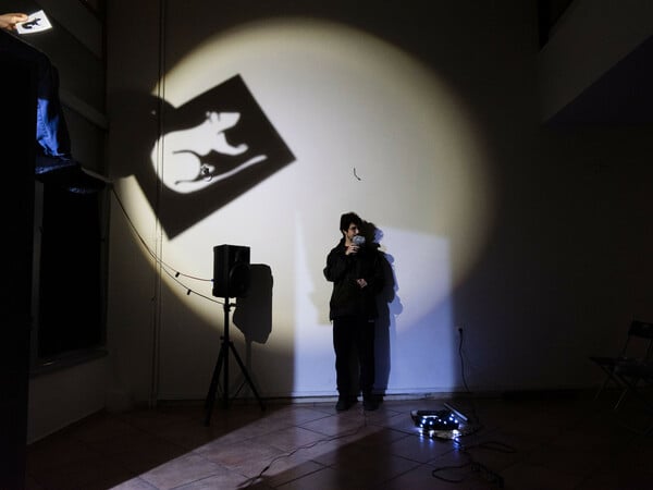 Αυτοοργάνωση, πολυμορφία και δημιουργία