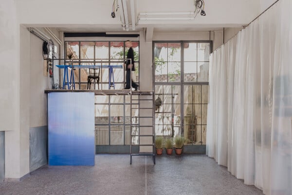 Αυτοοργάνωση, πολυμορφία και δημιουργία