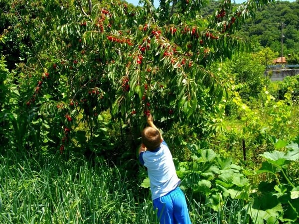 «Στο χωριό, δεν είναι μόνο η φύση αλλά και οι άνθρωποι που σου διδάσκουν πολλά»