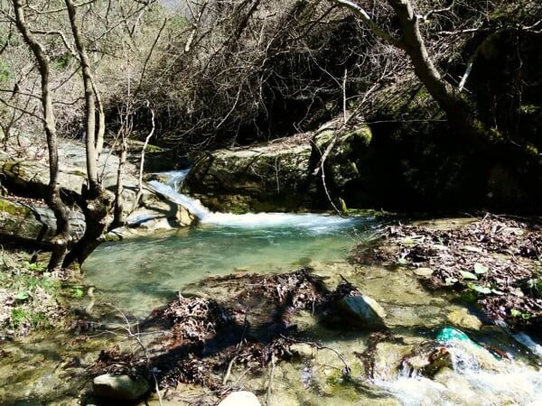 «Στο χωριό, δεν είναι μόνο η φύση αλλά και οι άνθρωποι που σου διδάσκουν πολλά»