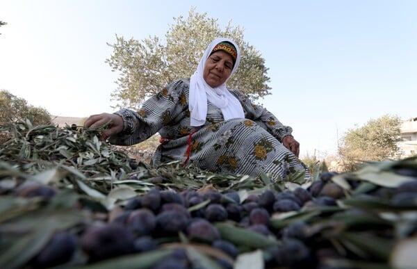 ΔΥΤΙΚΗ ΟΧΘΗ ΠΑΛΑΙΣΤΙΝΙΟΙ ΙΣΡΑΗΛ