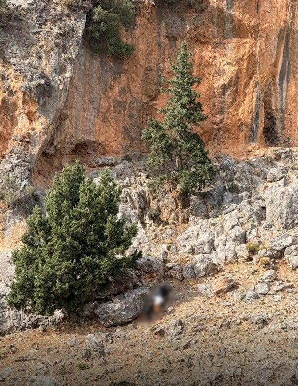 ΒΟΡΙΖΙΑ ΣΥΛΛΗΨΕΙΣ ΑΝΑΚΟΙΝΩΣΗ ΕΛΑΣ
