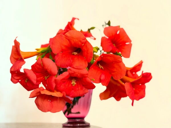 Εγώ τις νύχτες δεν τις ήξερα 