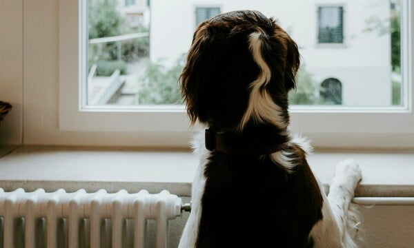 ΕΠΙΔΟΜΑ ΘΕΡΜΑΝΣΗ ΠΟΣΟ ΑΙΤΗΣΗ