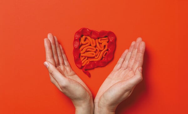 Πρόληψη και αναγκαιότητα συστηματικού ελέγχου για τον καρκίνο του παχέος εντέρου