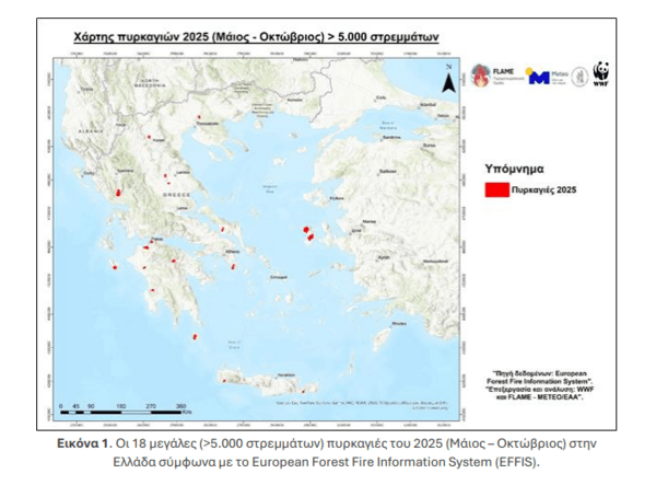 Νέα έκθεση WWF: Το 2025 ανάμεσα στις χειρότερες χρονιές για τις δασικές πυρκαγιές στην Ελλάδα