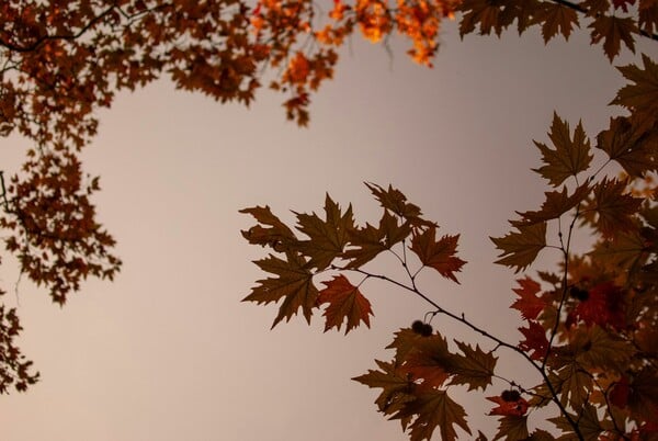 ΚΑΙΡΟΣ ΚΑΚΟΚΑΙΡΙΑ ΣΗΜΕΡΑ ΒΡΟΧΕΣ