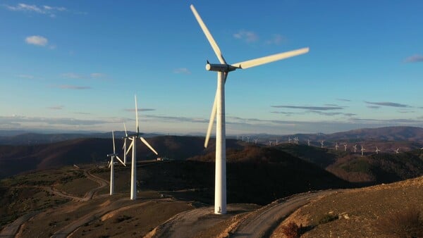 Πυρόπληκτος Έβρος, πράσινα σχέδια: H αιολική πίεση στα καμένα / Τα πράσινα σχέδια στον πυρόπληκτο Έβρο