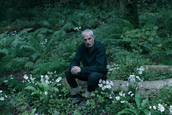 Ντάνιελ Ντέι Λιόυις, Παρκ Τσαν-Γουκ και Στίβεν Κινγκ από αύριο στους κινηματογράφους