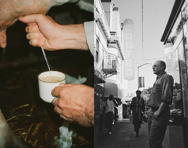  Αν δεν μπορείς να μας νικήσεις, θα μας κοιτάς/ από τον Πάνο Μιχαήλ