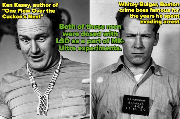 High Trip. Οι Ναζί, το LSD και η CIA