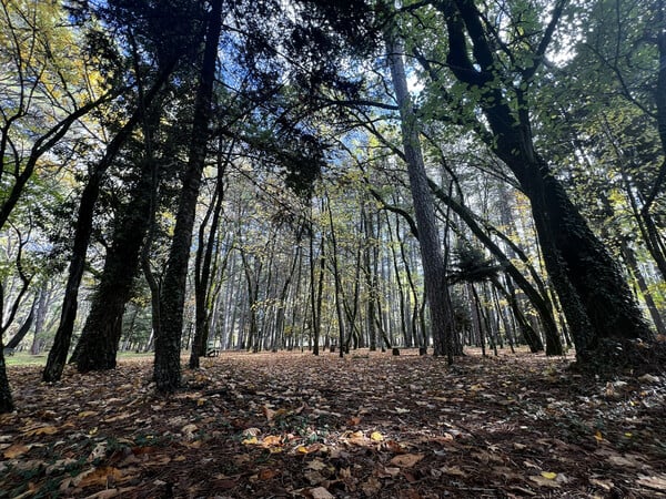 «Δεν μπορώ να φανταστώ τον εαυτό μου να επιστρέφει στην πόλη»