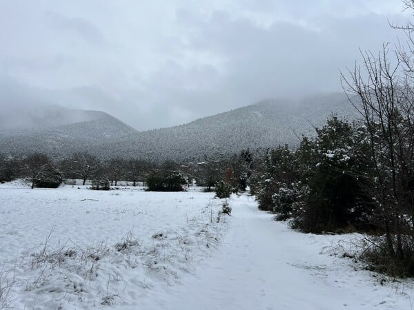«Δεν μπορώ να φανταστώ τον εαυτό μου να επιστρέφει στην πόλη»