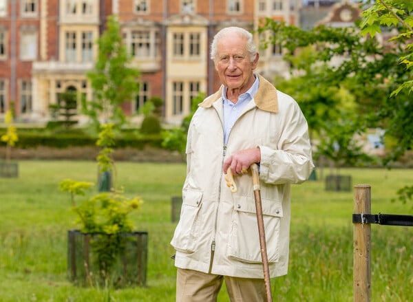 Βασιλιάς Κάρολος: Έγινε 77 χρονών - Το νέο πορτρέτο για τα γενέθλιά του