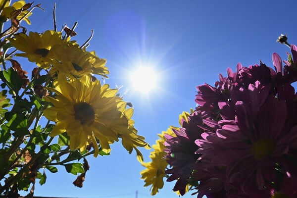 Καιρός - Τσατραφύλλιας: Έρχεται θερμή εισβολή με σκόνη και υψηλές θερμοκρασίες