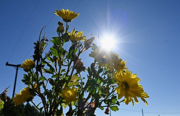 Καιρός: Ηλιοφάνεια και υψηλές θερμοκρασίες σε όλη τη χώρα σήμερα