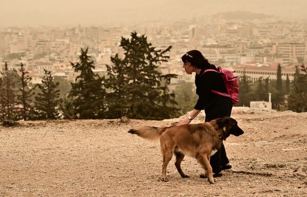ΚΑΙΡΟΣ ΑΦΡΙΚΑΝΙΚΗ ΣΚΟΝΗ