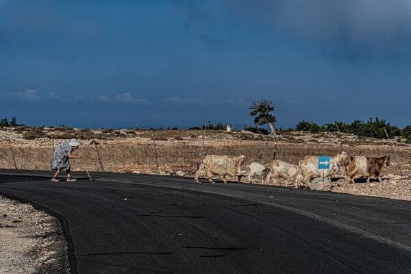 Φωτογραφία της Γαύδος - Οδοιπορικό & Εικόνα