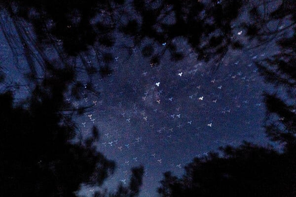 Φωτογραφία της Γαύδος - Οδοιπορικό & Εικόνα