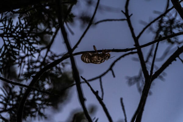 Φωτογραφία της Γαύδος - Οδοιπορικό & Εικόνα